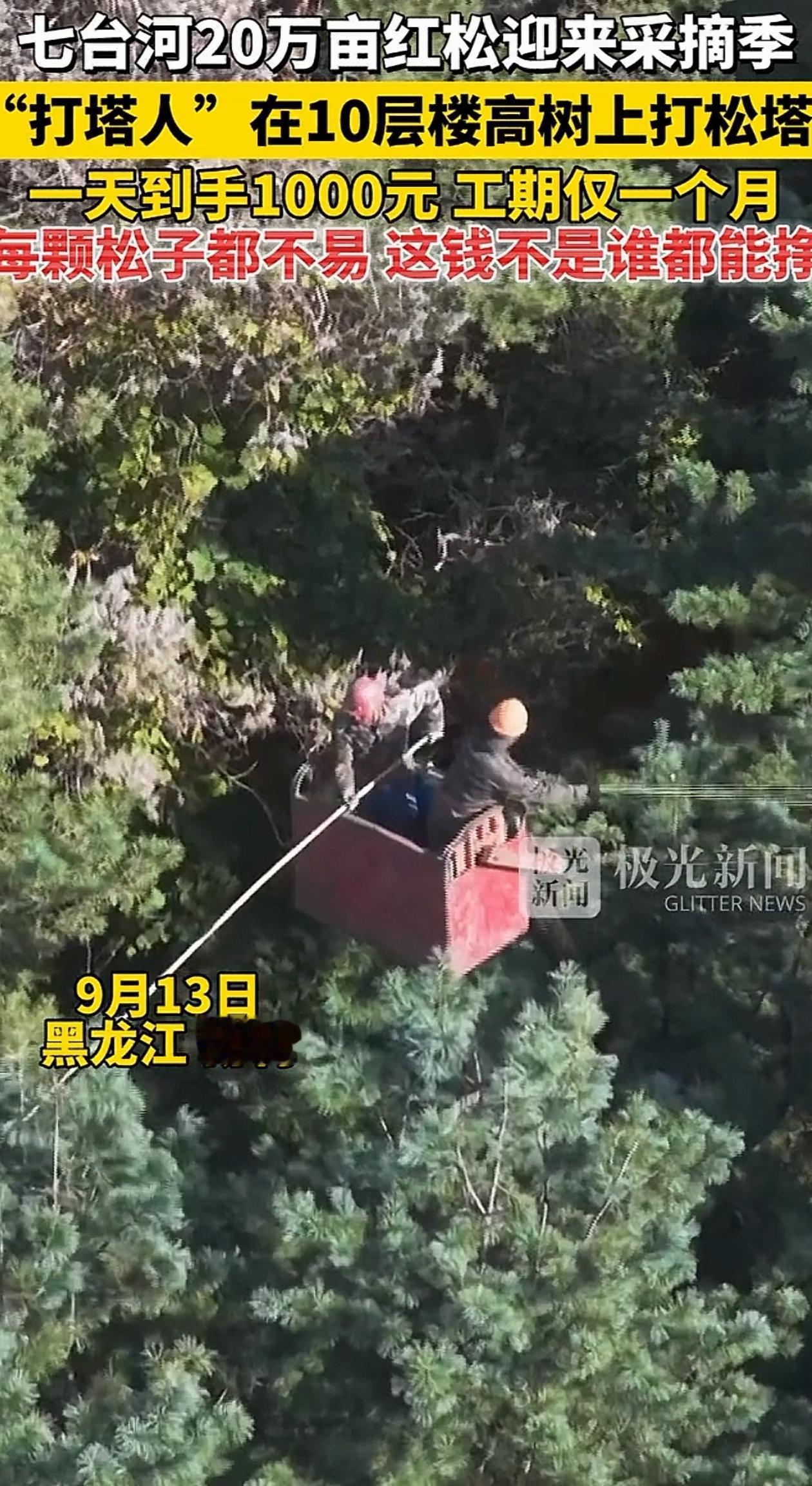 “这钱不好挣！”黑龙江七台河，男子出门打临时工，一天能挣一千，一个月就是两三万，