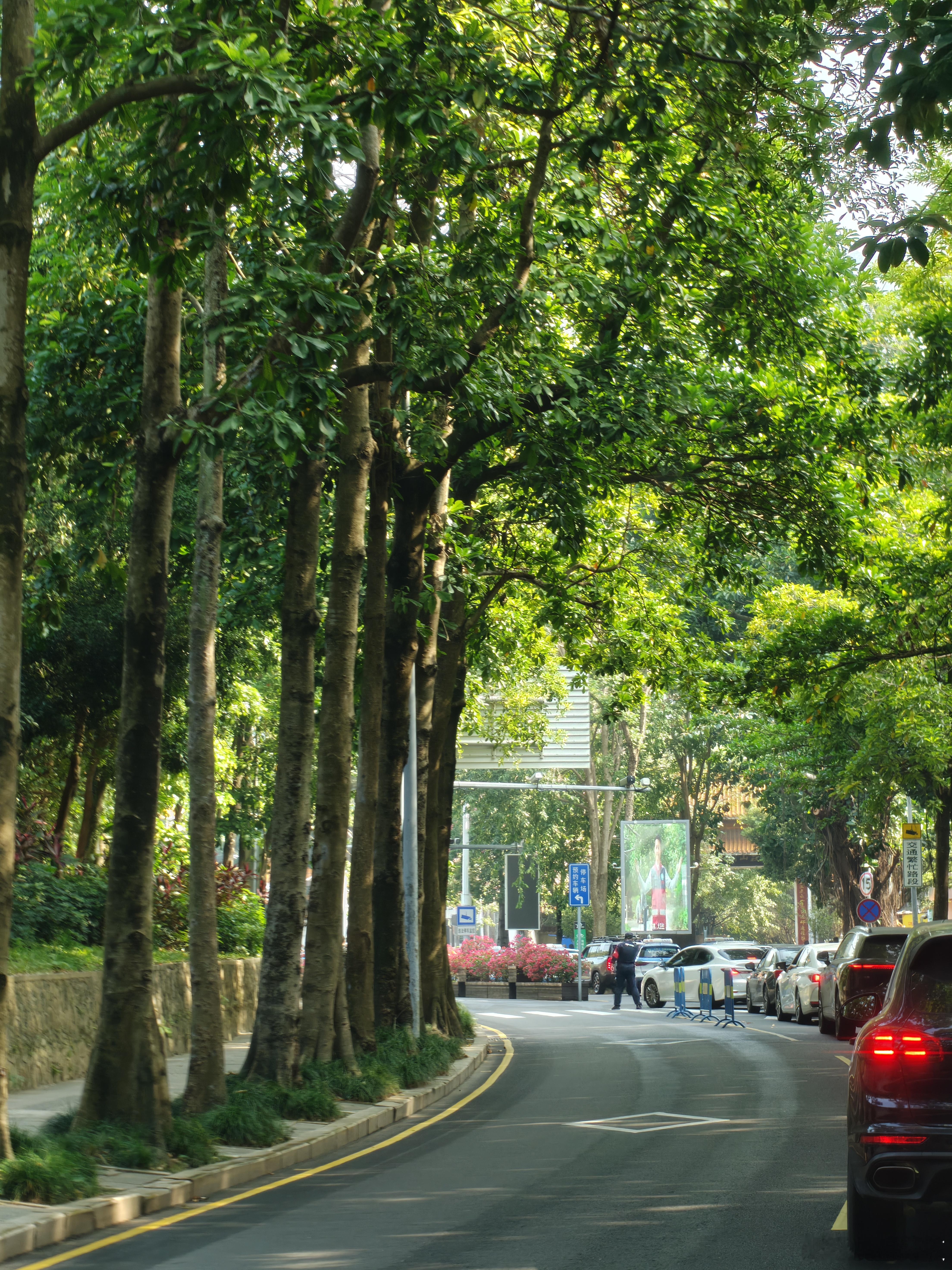 深圳公园的停车预约策略改变了，感动人心，引入了候补政策！点一次候补前面时间没到的