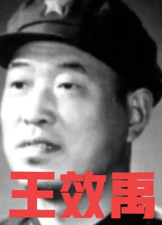 1985年，王效禹被安置回到青州老家，他不止一次向当地部门递交申请，主动要求去烈