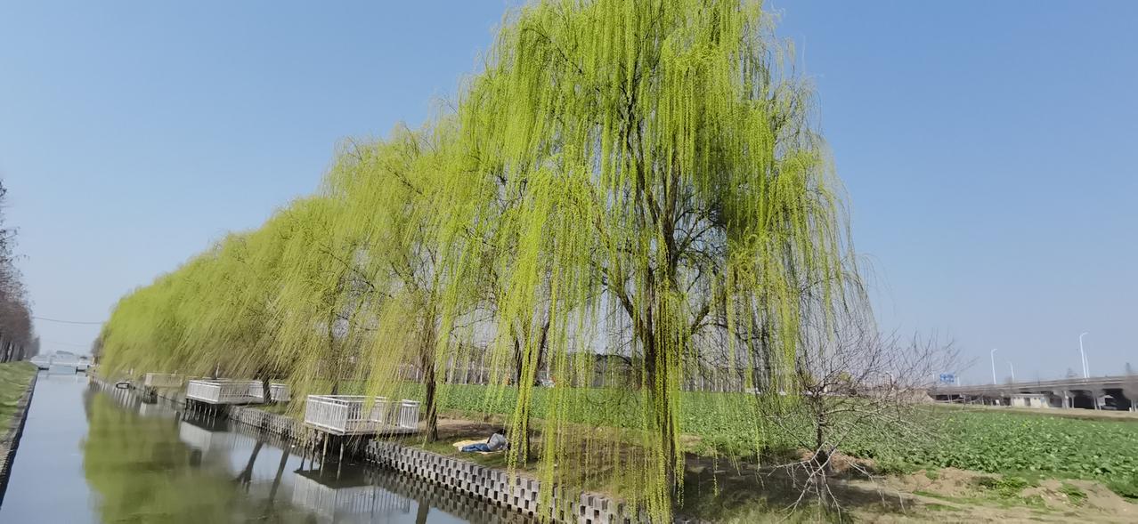 “你说，你真要碰到这样的儿媳妇可怎么办？”姐姐问我，不仅为朋友着急，也是忐忑，外
