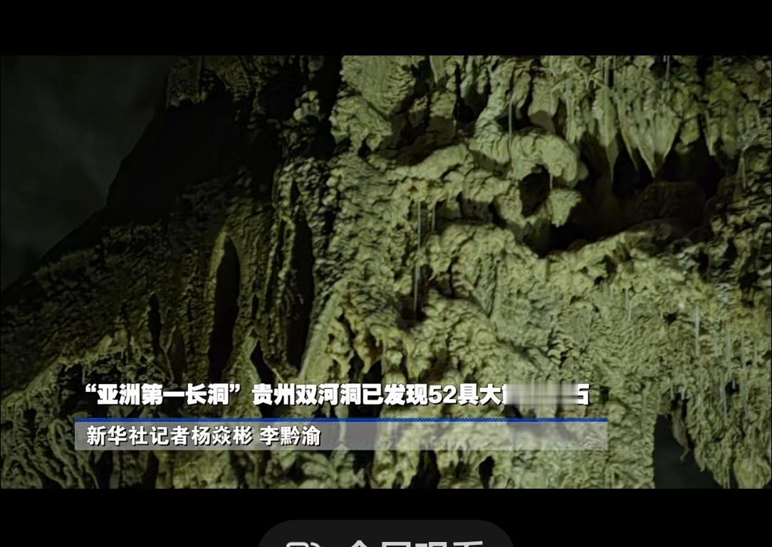 贵州双河洞挖到6具熊猫化石！52具总量霸榜全球近日，贵州绥阳双河洞第24次