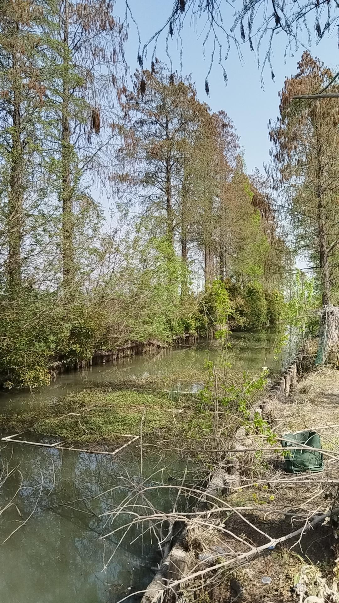 钓鱼是靠选钓位，而选择钓位是靠经验。能否钓到鱼，有没有耐心也很关键，其实除了选钓