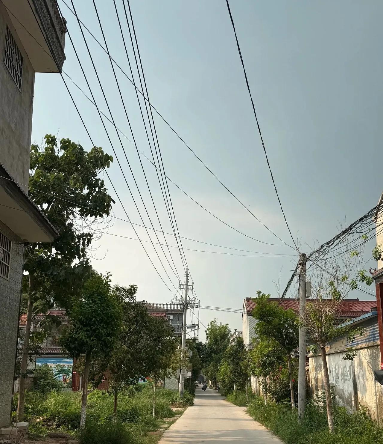 父亲还在的时候姑姑就和我们断了亲后来家里孩子办喜事姑姑她从头到尾都没来