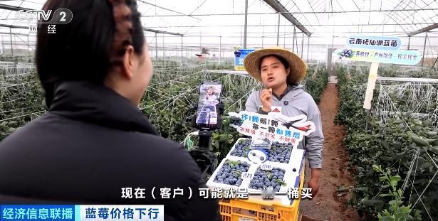 蓝莓车厘子实现自由，曾经的春节爆款砂糖橘，如今价格跌破底线 如今水果市场迎来