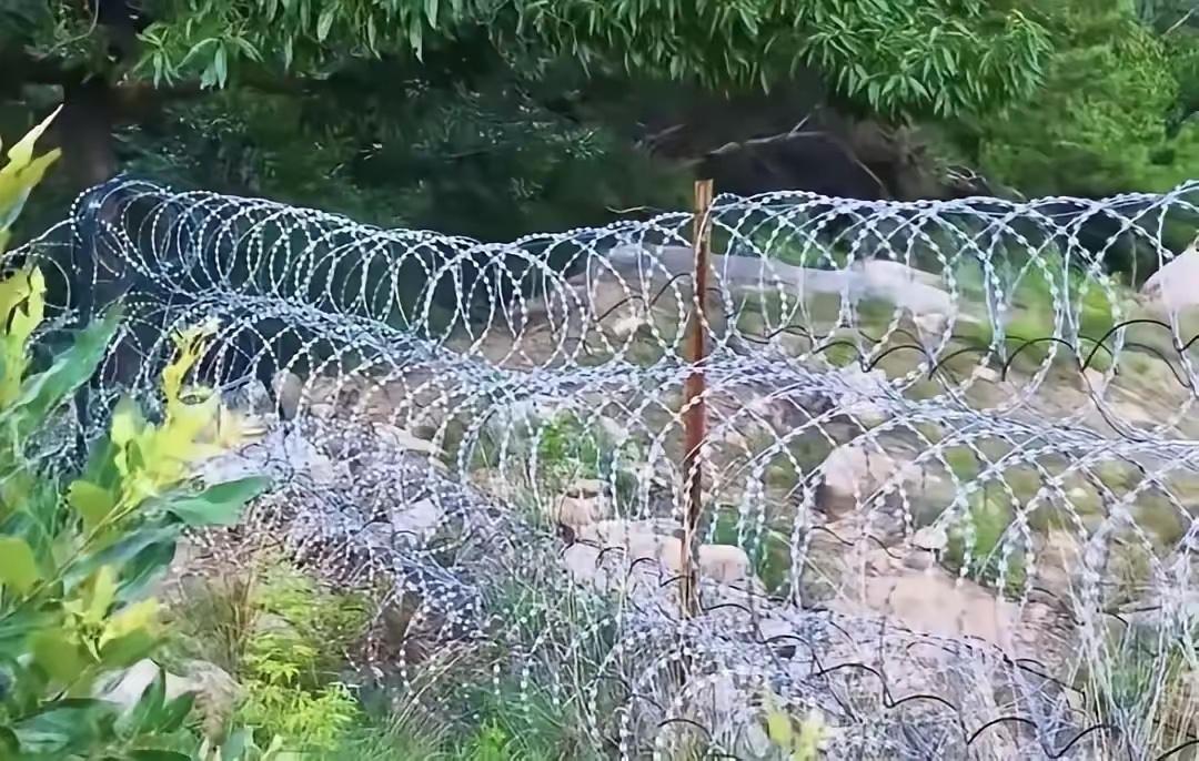 耗资2519万、绵延135公里的泰山刀片铁丝网启动拆除计划，7月10日前全部拆除