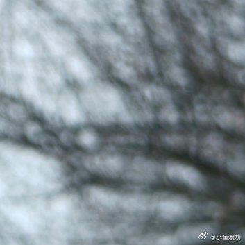 怀孕七个月的时候，我发现他手机里同时聊着五个女人。最让我崩溃的，不是那些暧昧的话