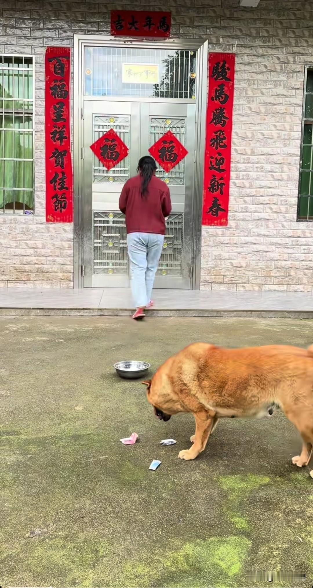 平日里女主人对丈夫十分抠门，狗狗都看不过去，这天女主人进门摆弄钥匙时，兜里的钱掉