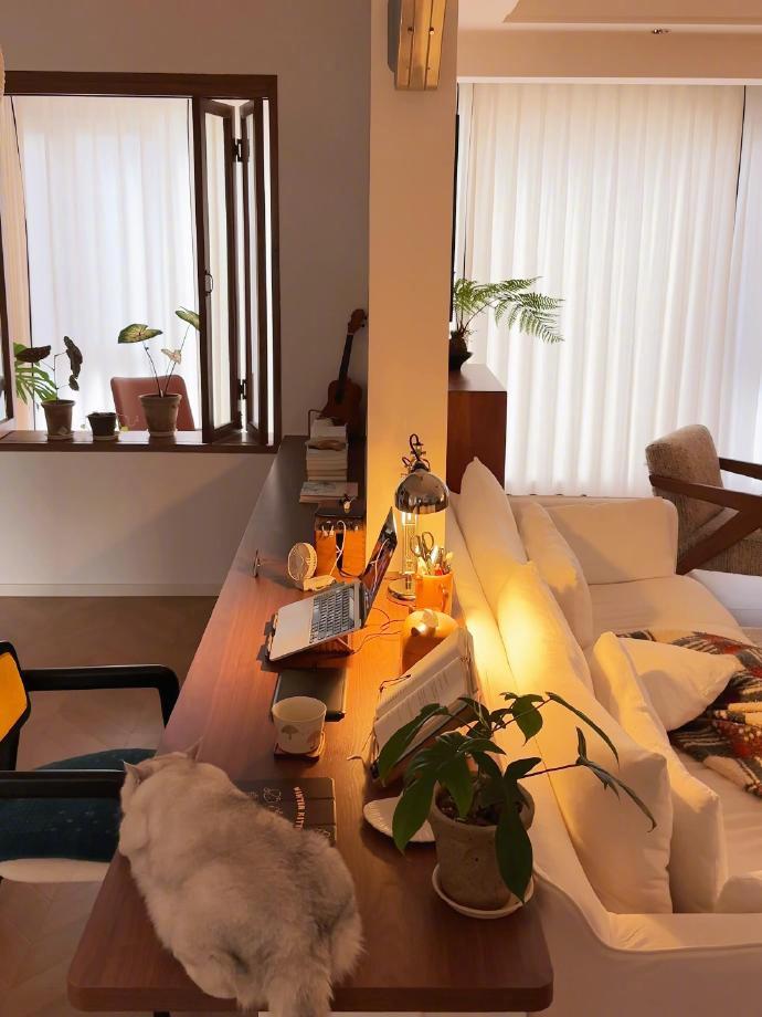 一半书房一半客厅🏡都说不信我家只有90平🤣​​​