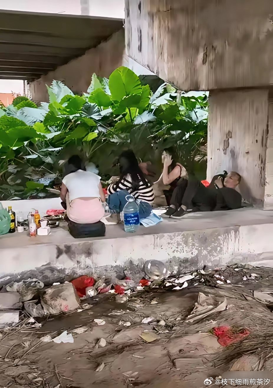不服不行啊！流浪也能达到如此境界​​​