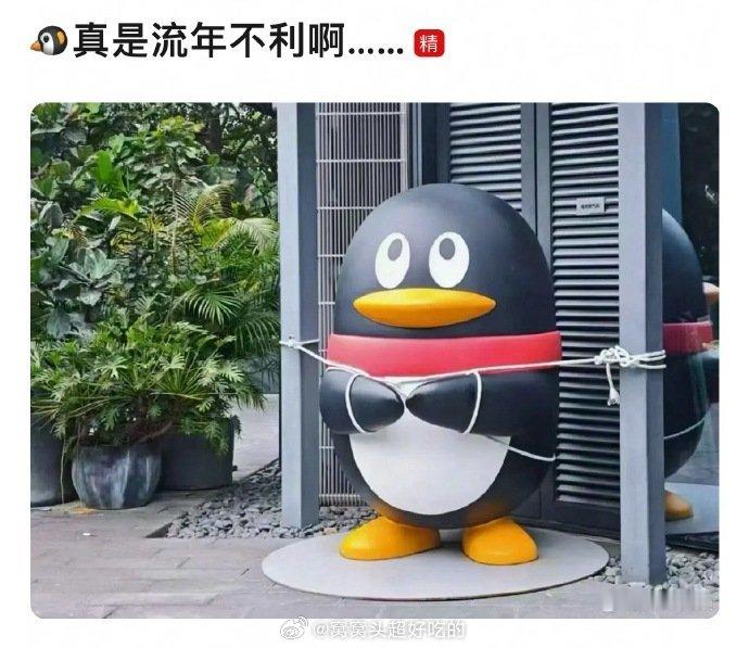 我不行了[笑着哭][笑着哭][笑着哭][笑着哭]​​​