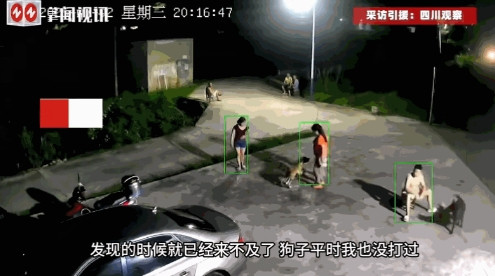 “干得漂亮！”7月2日，湖南湘潭，一男子在路边喂自己养的狗吃零食，谁知远处走过来