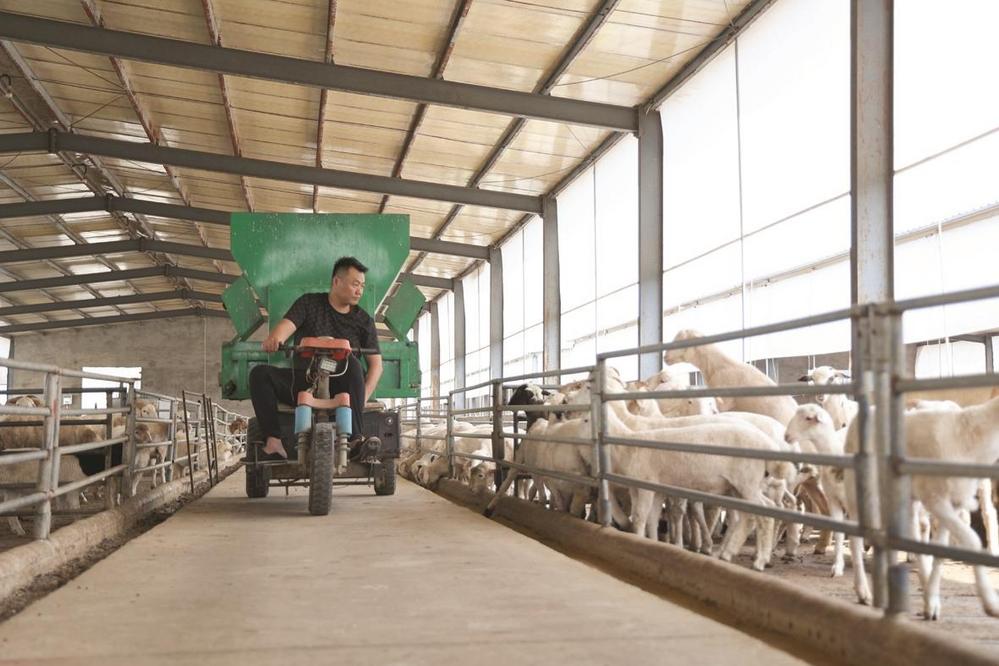 从“小养殖”到“大产业”