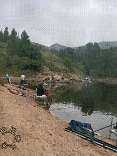 钓鱼场专门有干这事的漂亮女士[捂脸哭][捂脸哭]