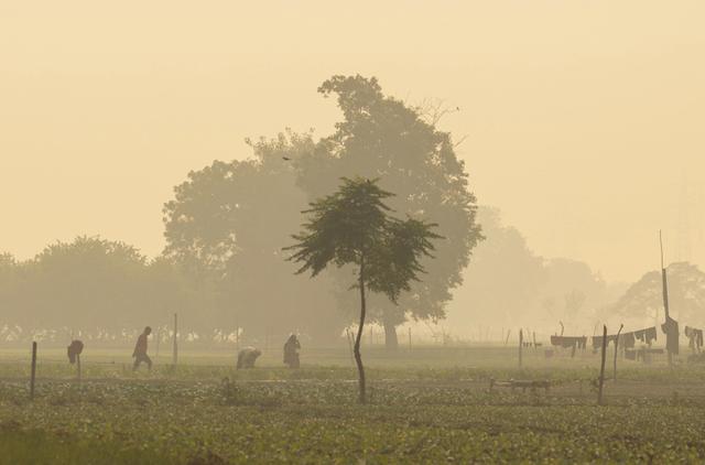 新德里干了件50年来从未有过的大事, 结果成了代价高昂的奇观