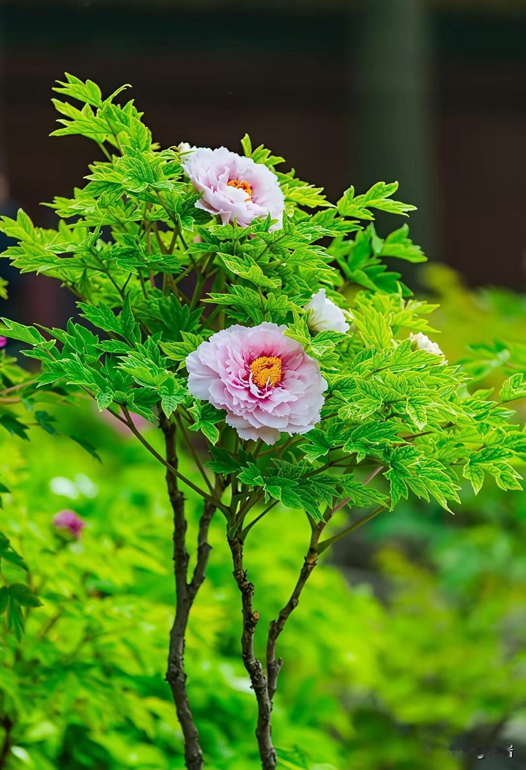 睡眠超好的秘诀一、先定一个铁规矩：床只用来睡觉1. 不在床上玩手