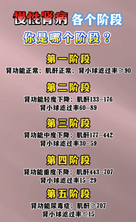 慢性肾病分5期，看看你处于哪一期