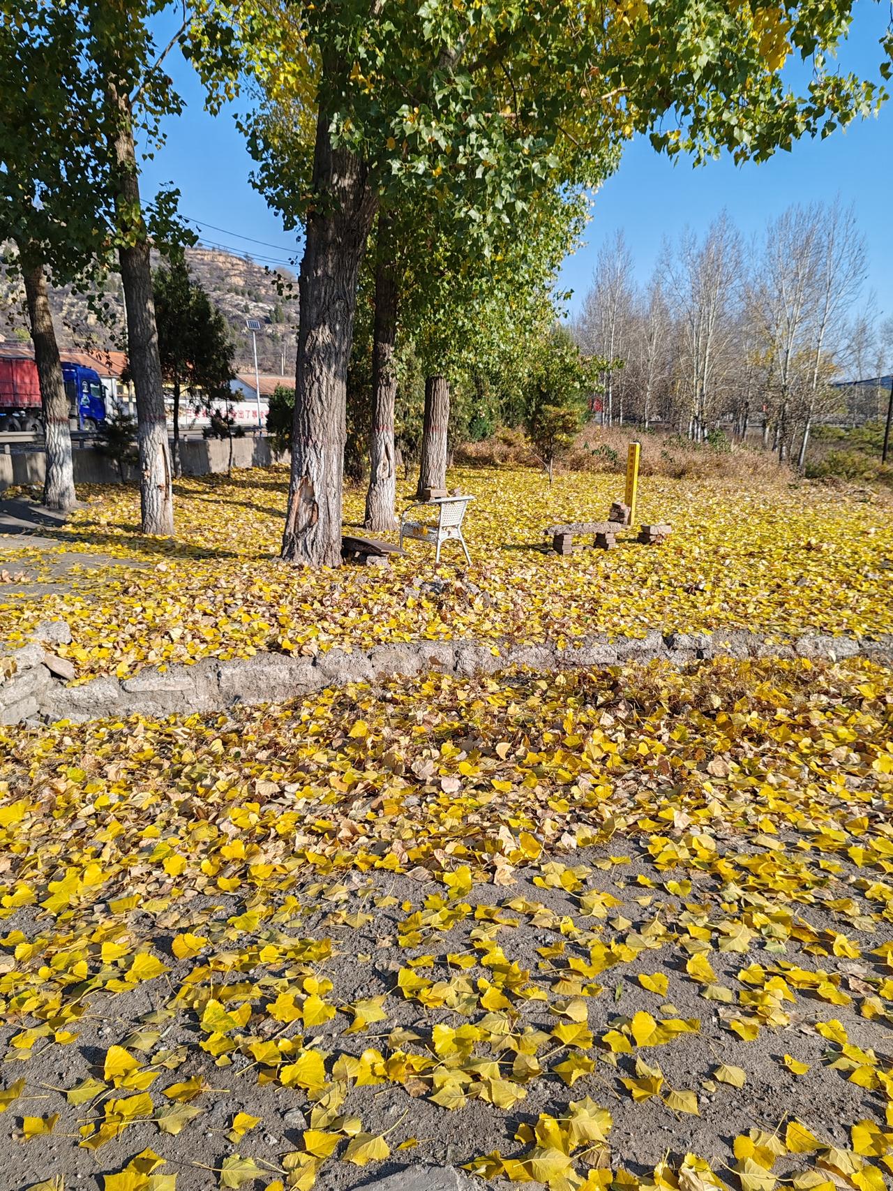被网暴的“高铁母女”后续曝光，刺痛了多少人的心：你没穷过，你真的不懂（接上文