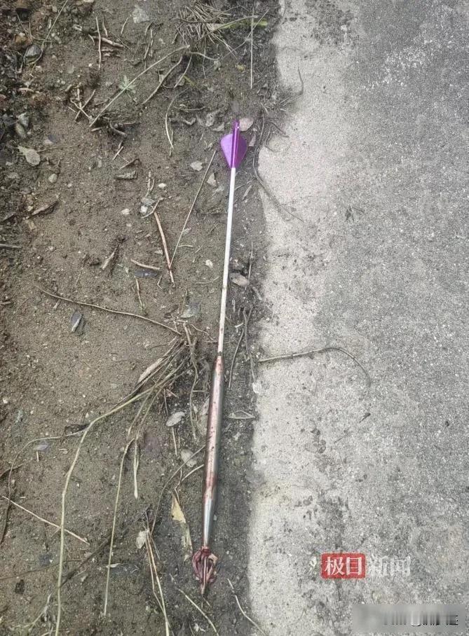 夜幕下无人机猎猪，村民拍手叫好，可真安全吗？10月29号晚上，陕西宝鸡渭滨区