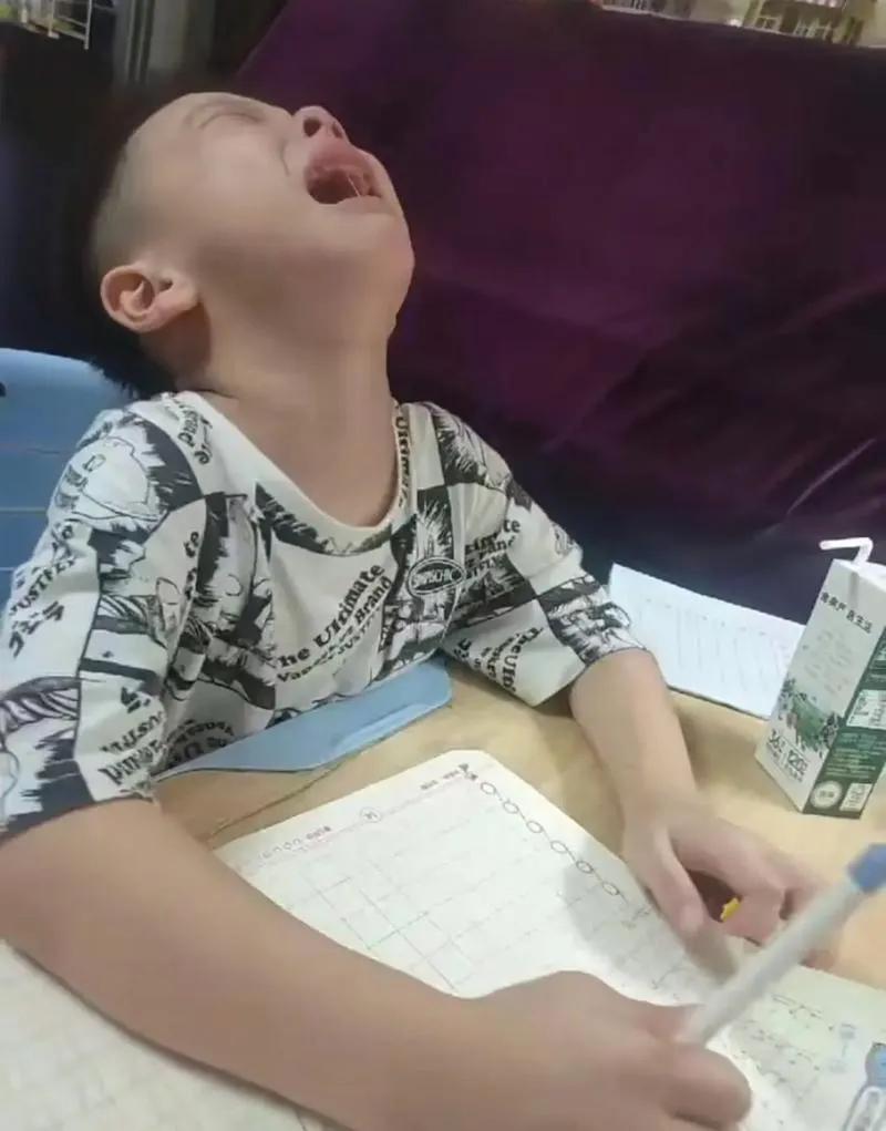 12月29日，一媒体报道，云南省昆明市嵩明县一9岁男孩因写作业把妈妈气晕，并且还