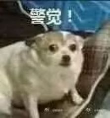 【同样是椿，这个椿我建议你离远点】香椿树是楝科香椿属树种，臭椿是苦木科臭椿属树种