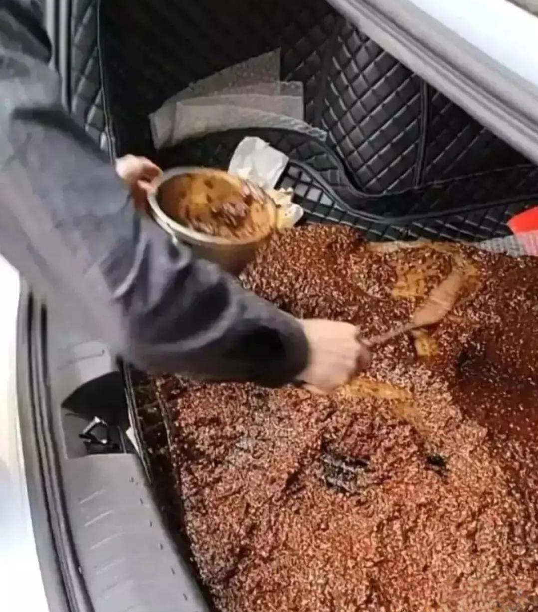 回趟老家傻了眼