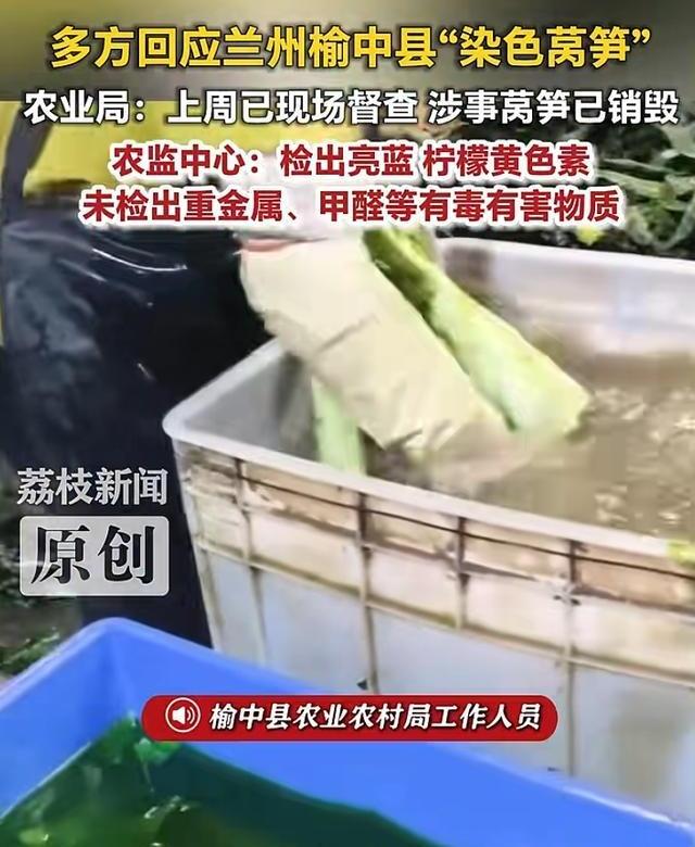 11.8吨莴笋就地销毁！甘肃做得太解气，该狠狠整治批发商今天先给甘肃兰州的相