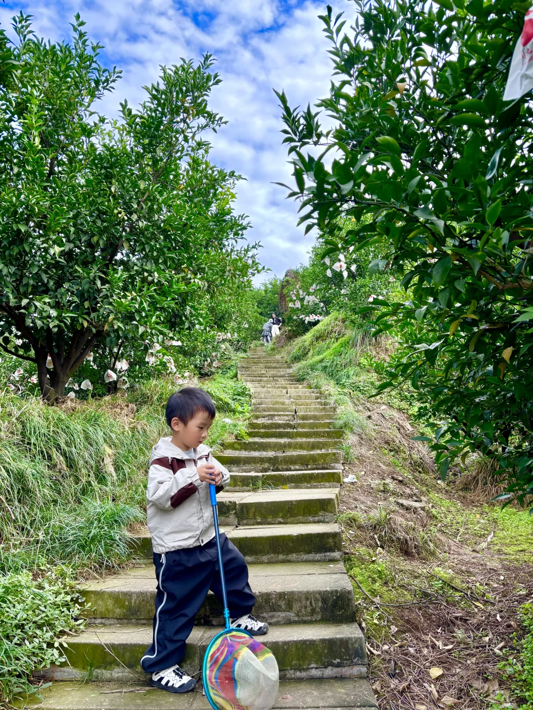 新晋亲子徒步路线，99%的人不知道！可摘橘🍊