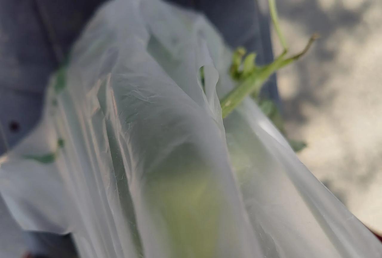 在路边西瓜摊买了一个西瓜，1.5一斤，老板娘称了重量说13.5元，只收了13块，