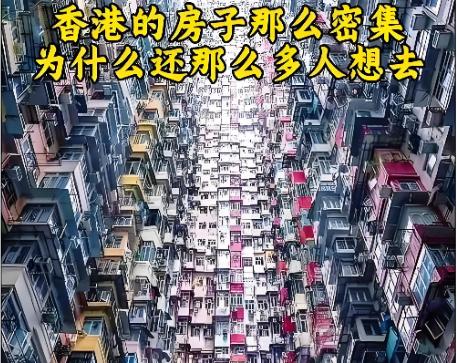 以前我也不明白，香港人为什么宁愿挤在8平米的小房子里，也不愿离开。直到看到那个数