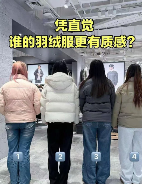 没对比，就没伤害，这就是廉价羽绒服跟高档大牌羽绒服的差别，我敢说，能一眼看出来的