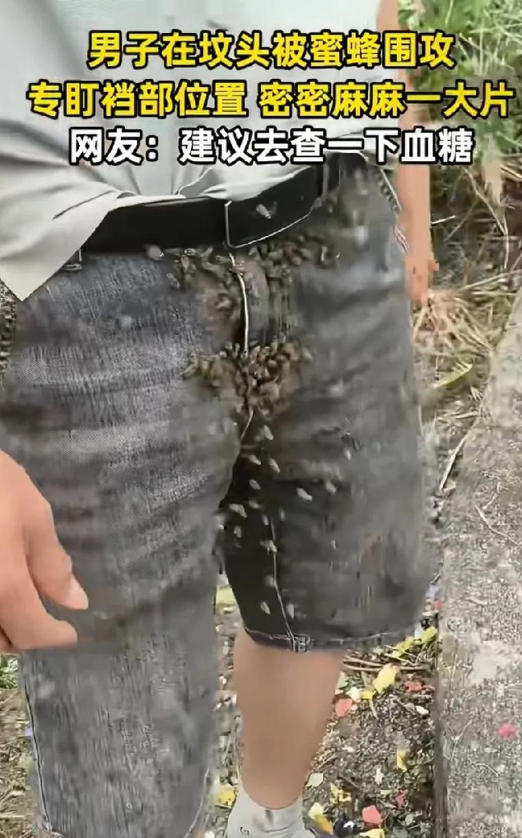 “解释不清了！”陕西，男子清明节去上坟。突然，一群蜜蜂飞来围攻他。没想到，专盯他
