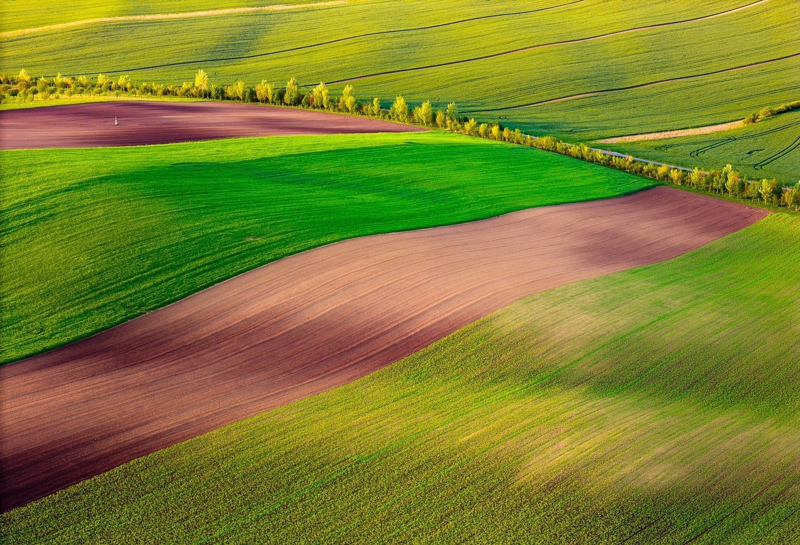 告别“双无人机”时代，继续给摄影器材做减法。随着国内规制收紧和海外无人机重量限制