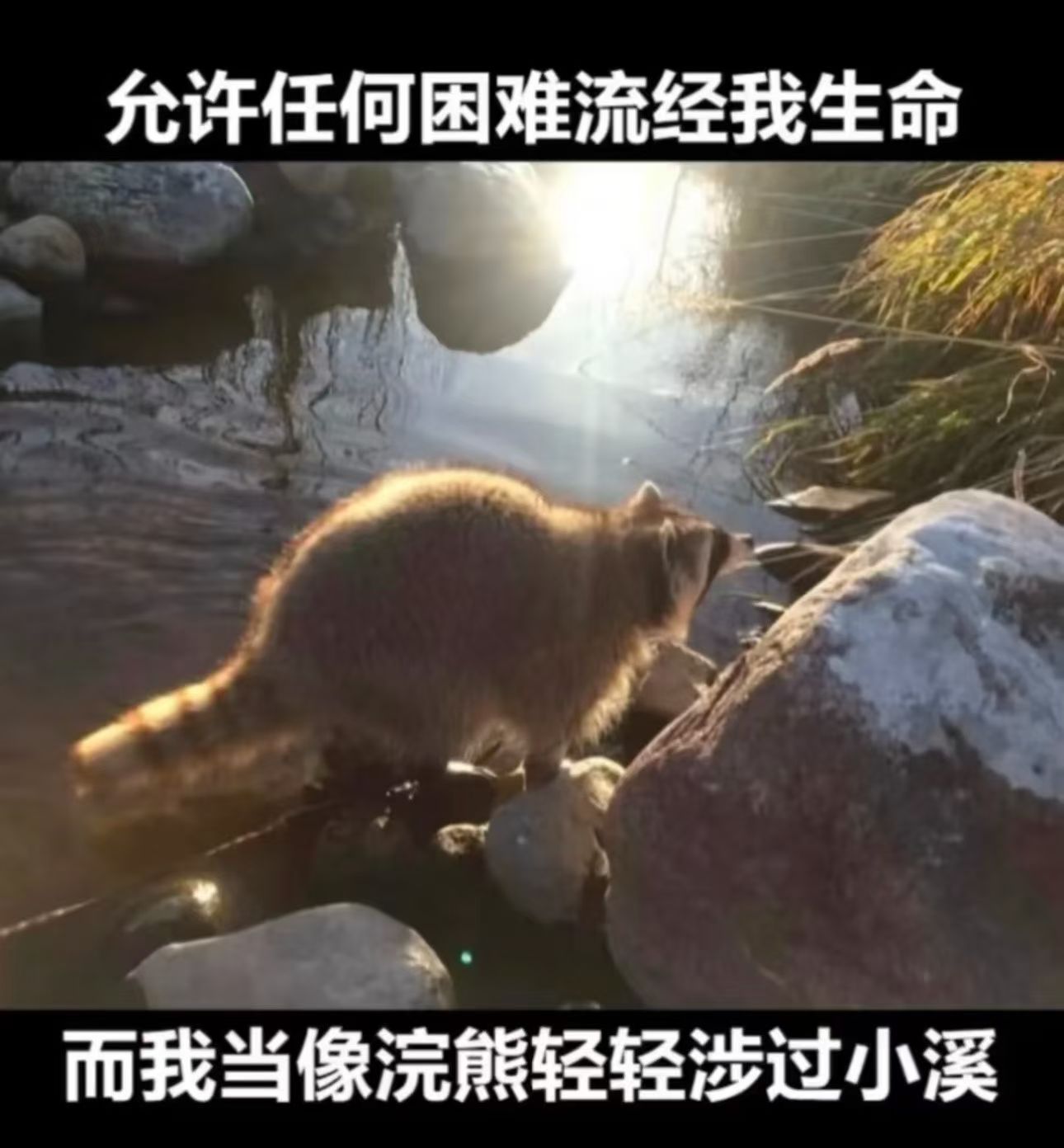 很多事已经忘记了发生在哪一年，但永远记得那一天。​​​