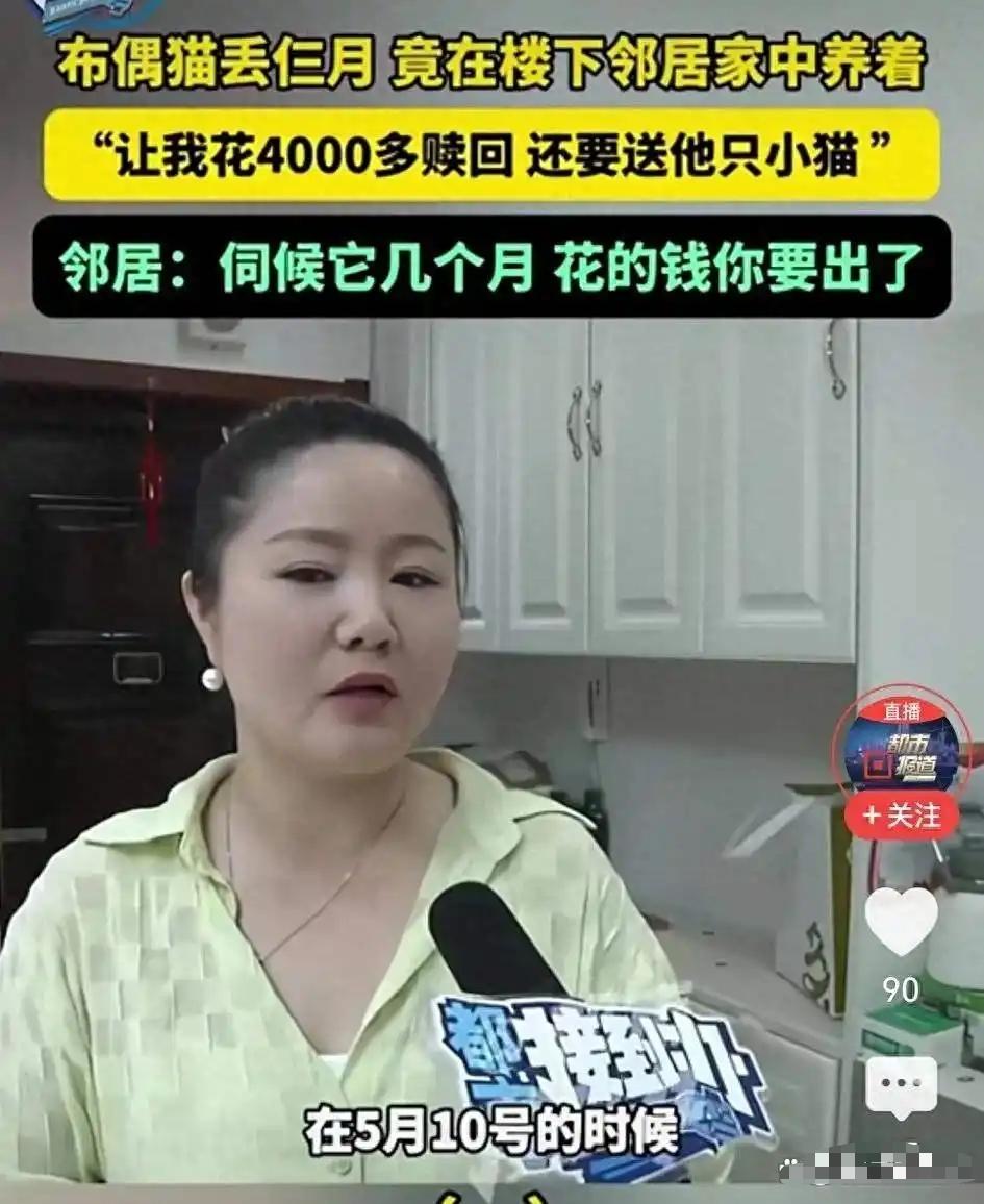 丢失3个月的布偶猫，竟在楼下邻居家，还被拿去配种！想赎回，还得掏4000元？女子
