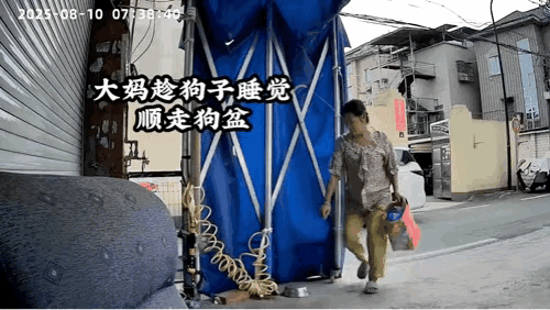我去这年头狗碗也是好的么？[笑着哭]
