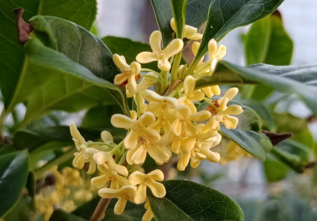 一段非常通透的话："无论我们活了多久，是70岁，还是80岁，或是90岁，其实，