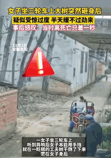 “这就是命啊！”11月1日，安徽阜阳，一女子坐在三轮车上和老人聊天，谁知旁边的树