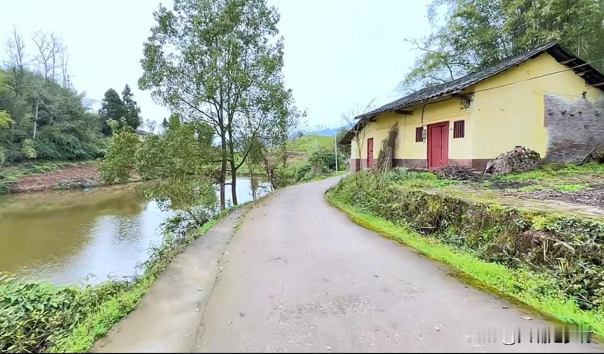 池塘边上的小院，粉丝花5000块钱买下，入住还不到三个月，现在又想3000块钱让