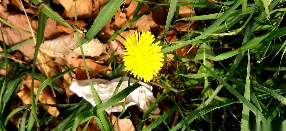 一个刚丧夫的女老师，强撑着回到讲台。同事提前一周就给全班学生打了预防针：她刚办