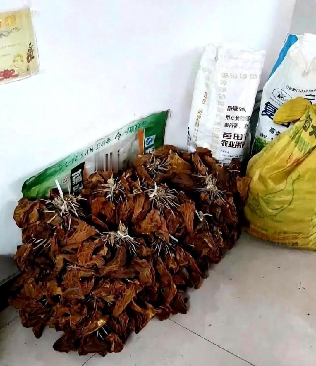 这才是真正的有钱人家，羡慕哭了​​​