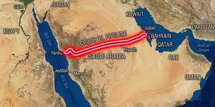 沙特阿拉伯还是有眼光的，45年前就预见到这一切了。沙特在45年前，也就是19