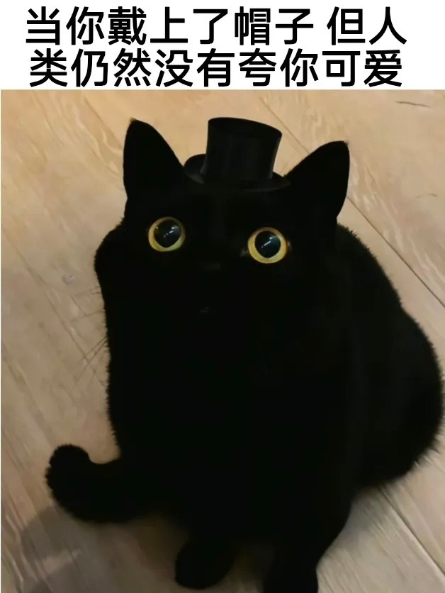 不开心时请服用猫meme梗图套餐