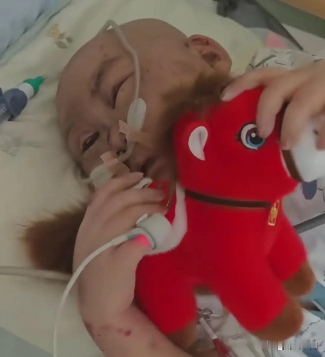 抗癌小王子豪豪走了6年来他都没提过什么要求那天他突然对他爸爸说：“今年是