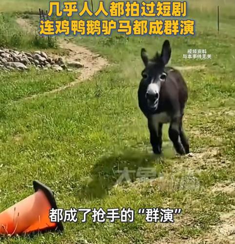 “羡慕死了！”近日，河南，一座600年古村在短剧的加持下变成“竖店影视基地”，村