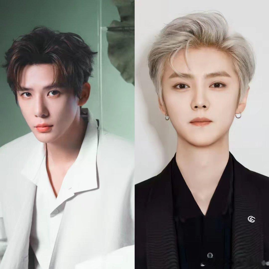 我问正蜷在沙发上刷综艺的闺蜜，鹿晗和王安宇二选一，你选谁做老公？闺蜜咬着零食含糊