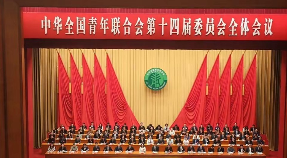 全国青联第十四届委员会全委会闭幕第一排左5马龙副主席​​​