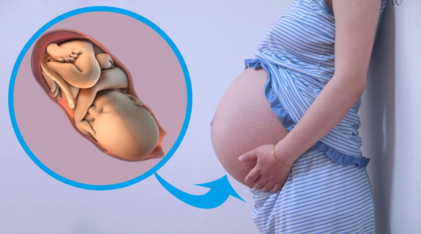 孕妈妈生孩子时, 胎儿为助妈妈生产竟做了这么多暖心的小动作!