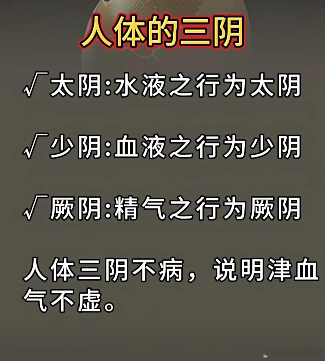 气虚自汗阴虚盗汗心阴不足手汗多肺胃气郁头汗多肝郁化火腋下汗多肝胃实火手足心汗多1