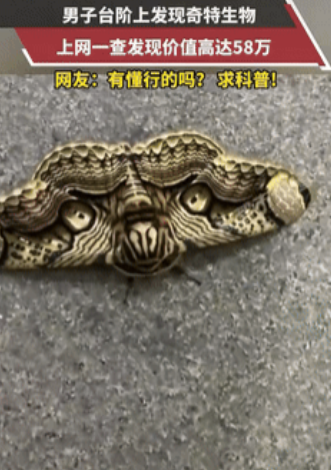 路灯下突然出现的