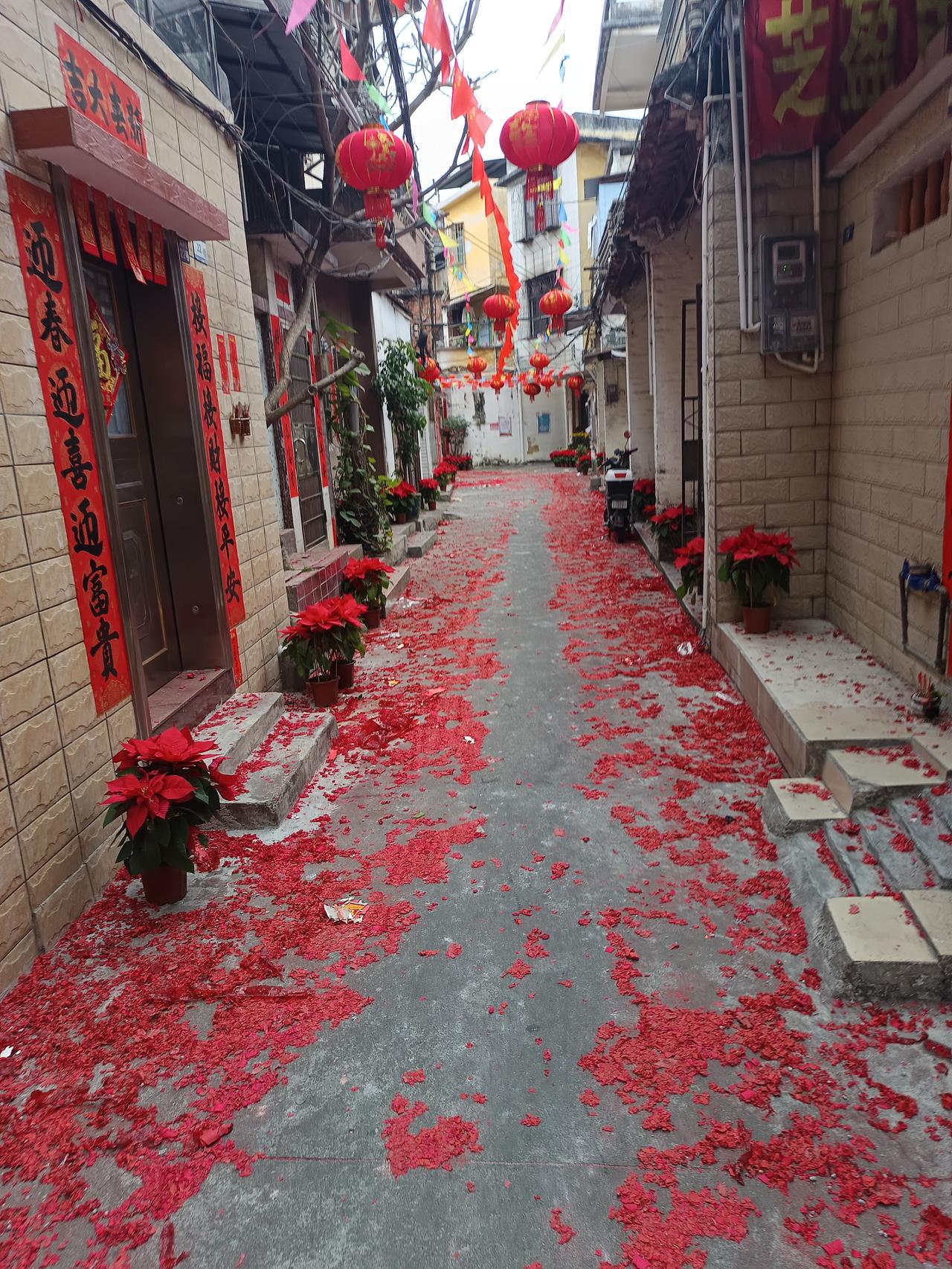 我终于知道了为什么有人说没有烟花的过年却依然有年味你敢相信吗？我条村